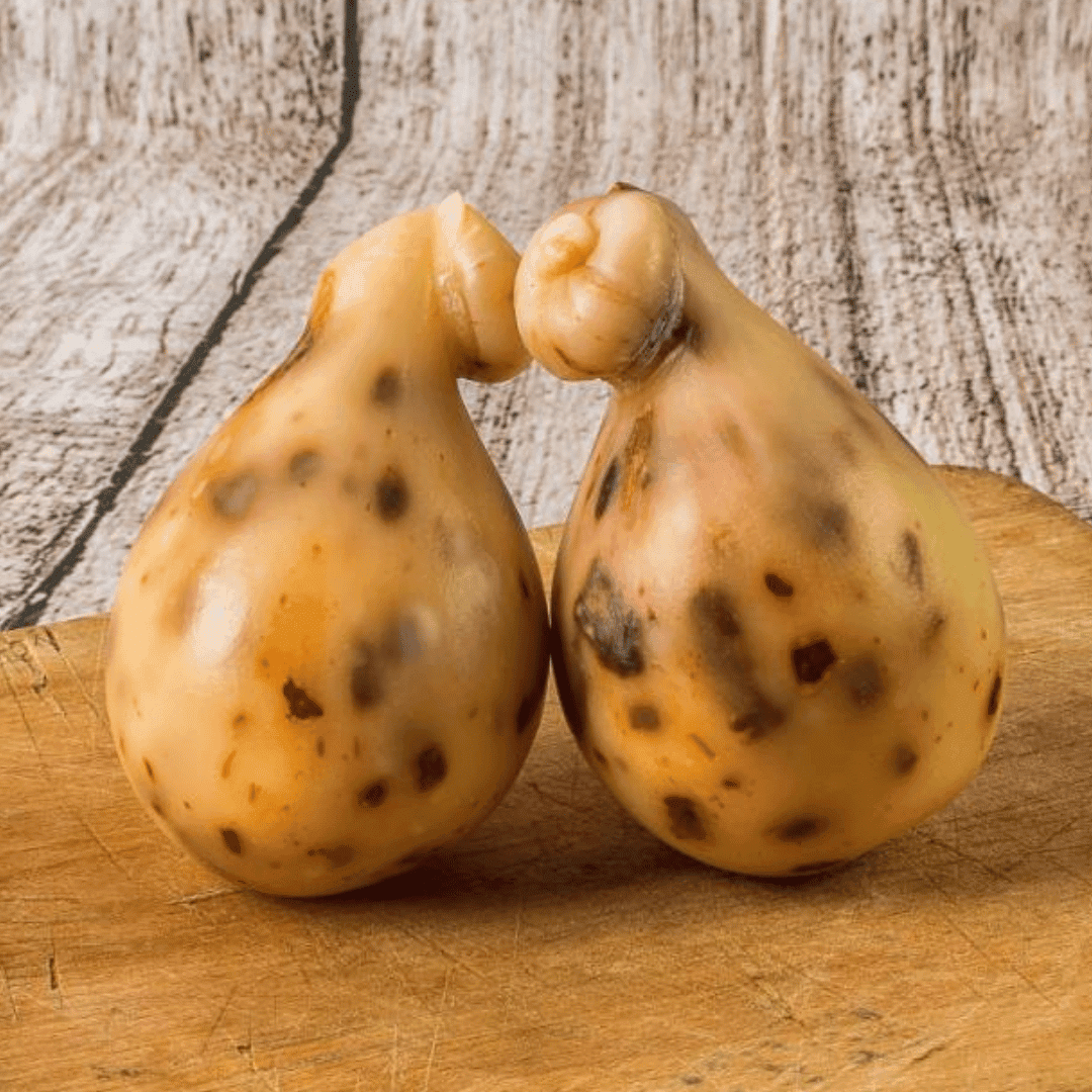 Scamorza ai Peperoni Cruschi di Senise IGP Petruzzi 300g