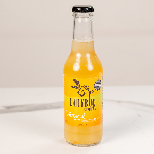 Kombucha artigianale analcolica "Tropical" Mango, Ananas e Passion Fruit "Ladybug" 200ml