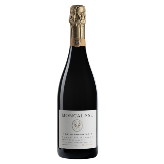Trento DOC Blanc de Blancs Extra Brut Riserva "Montis Arcentarie" 2017 Moncalisse