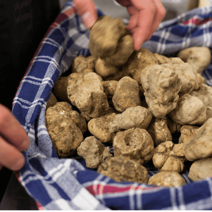 Tartufo bianco Trifola - Tuber Magnatum Pico 50g