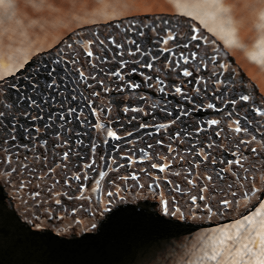 Tartufo Nero pregiato - Tuber melanosporum 50g