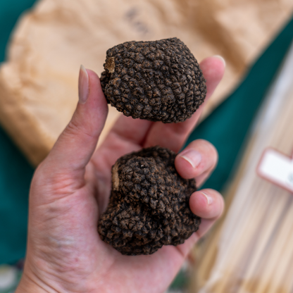 Tartufo Nero Estivo Scorzone fresco raccolto in giornata - Tuber aestivum Vitt.
