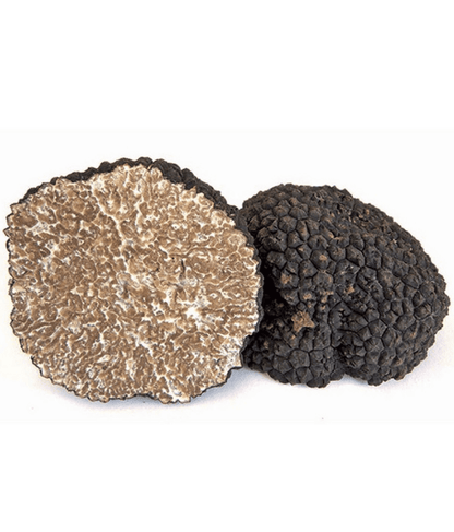 Tartufo nero Uncinato - Tuber Uncinatum