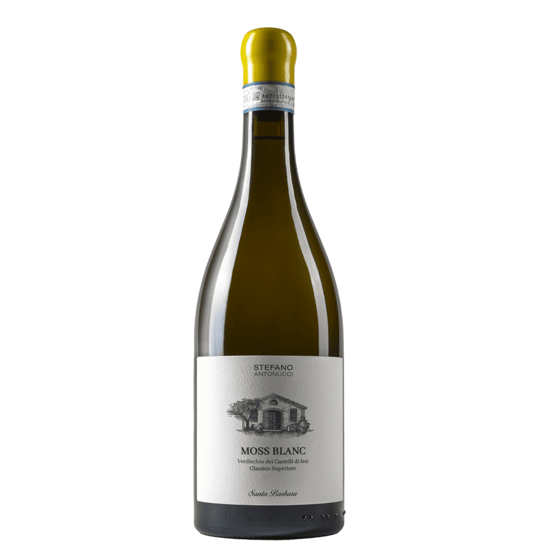 Verdicchio dei Castelli di Jesi DOC Classico Superiore "Moss Blanc" 2021
