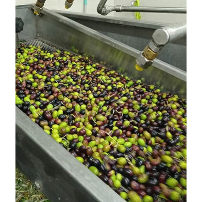 Olio Extravergine di Oliva Biologico Colle S.Pietro